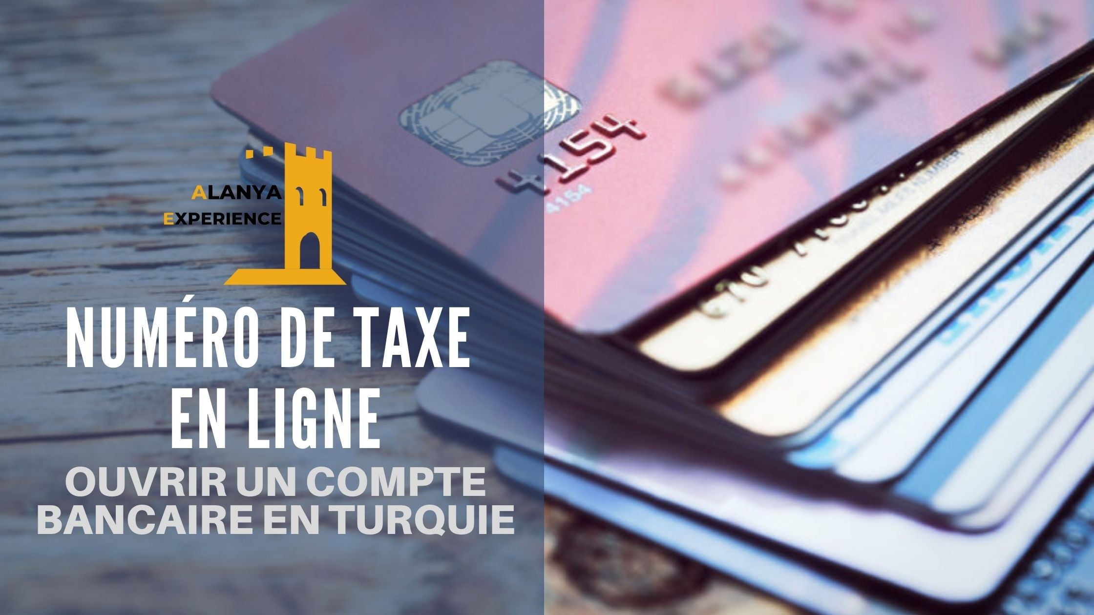 numero de taxe turquie en ligne